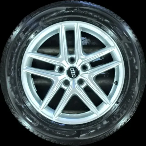 Background image for 225/55 R17 97H WINTERREIFEN AUDI A4 8W ALLROAD 17 ZOLL ALU KOMPLETTSATZ 5MM